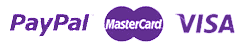 pagamento online con paypal carte di credito visa e mastercard